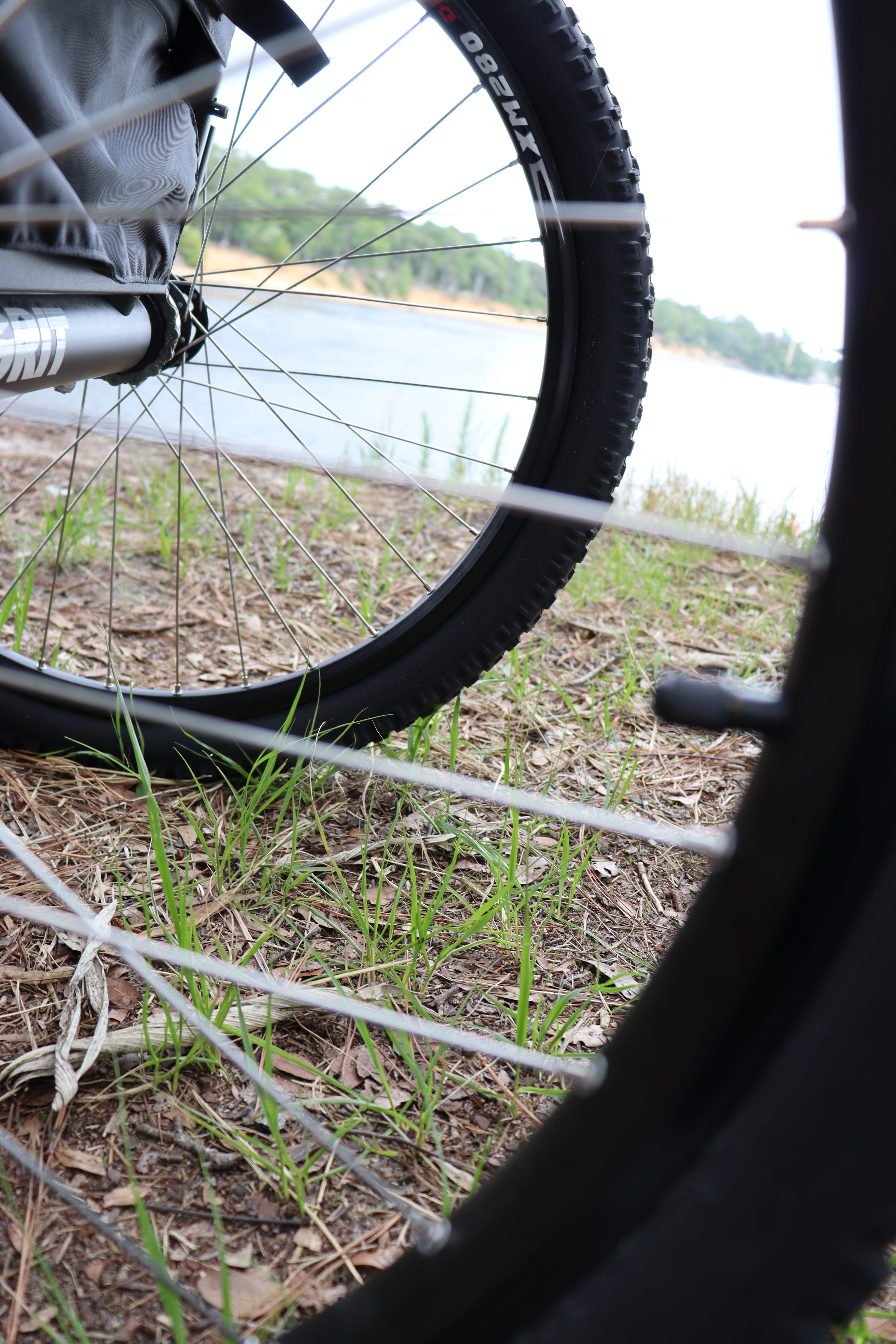 Image of a close-up of wheelchair wheels, with grass underneath and, in the background, trees and a river or pond
