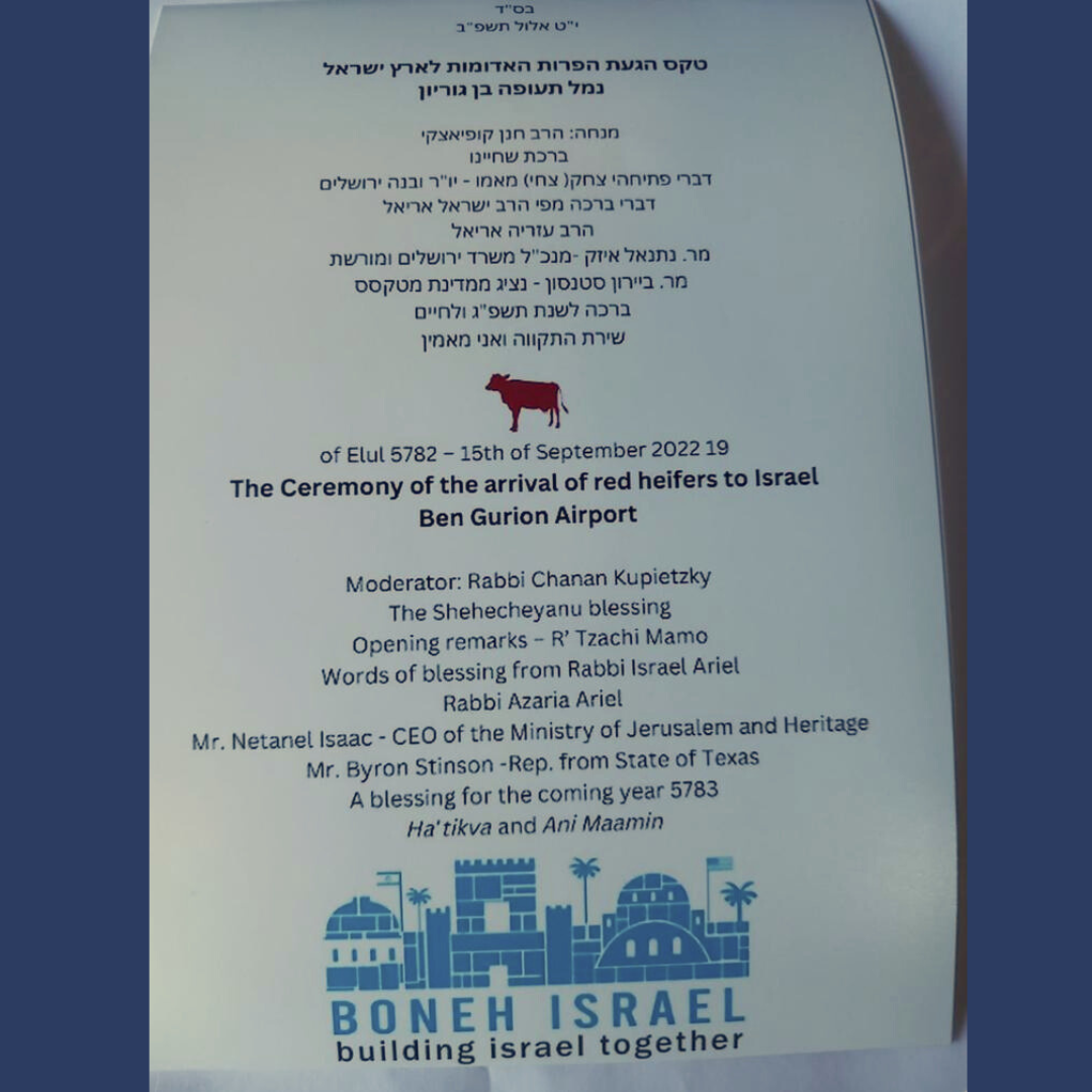 Invitation in Hebrew and English for a ceremony of the arrival of the red heifers to Ben Gurion airport in Israel by Boneh Israel, a Christian-Jewish joint group