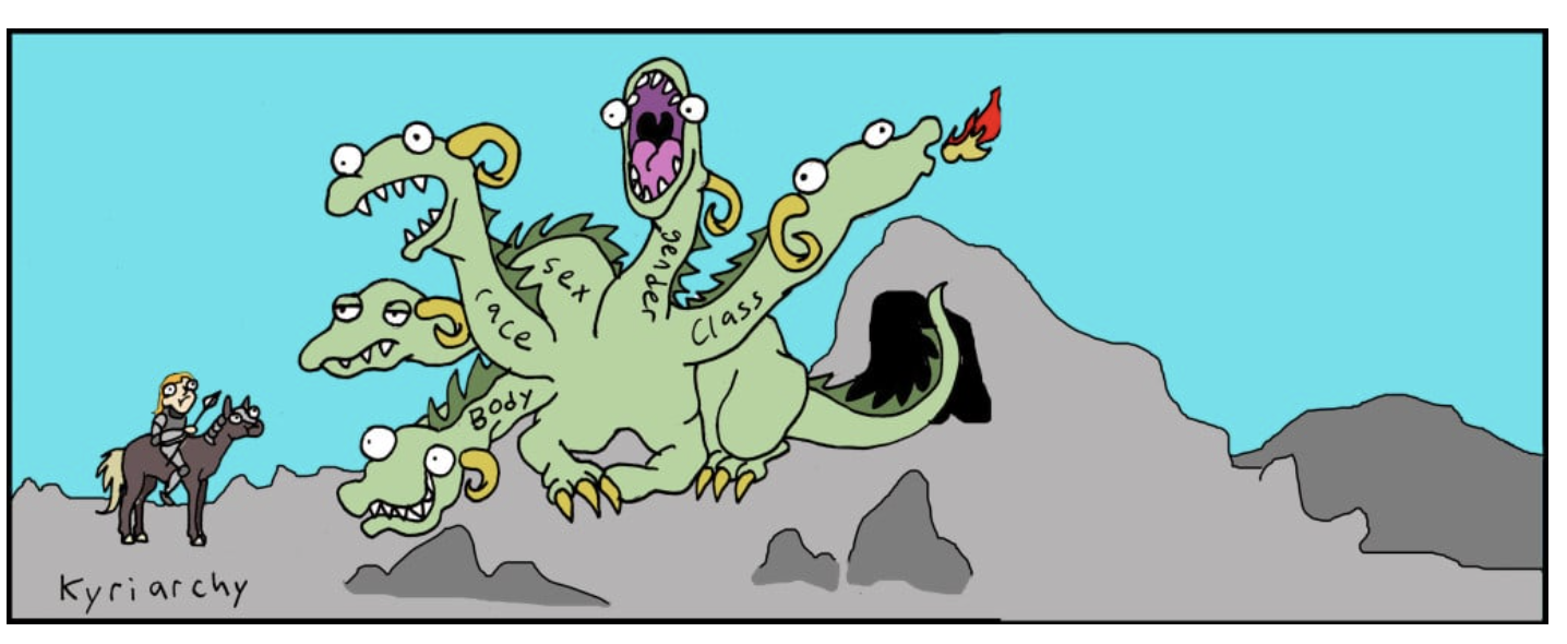 Cartoon of a person coming to slay a dragon with five heads, labelled, respectively, "body, race, sex, gender, class," 