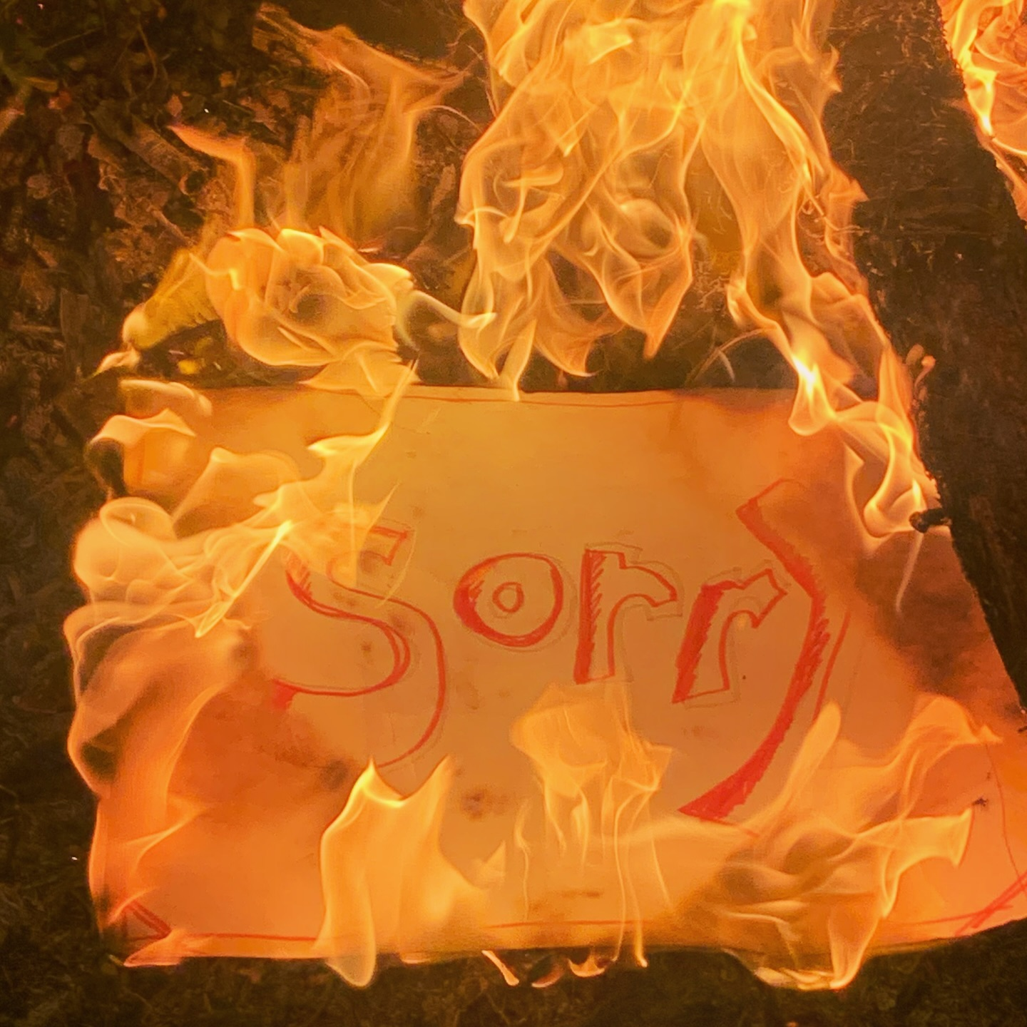 Image is of a sign saying sorry going up in flames