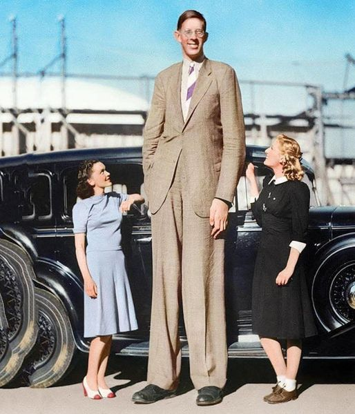 A very, very tall white man and two white women half his height